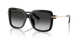 Black / Grey Gradient (80013C)