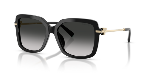 Black / Grey Gradient (80013C)