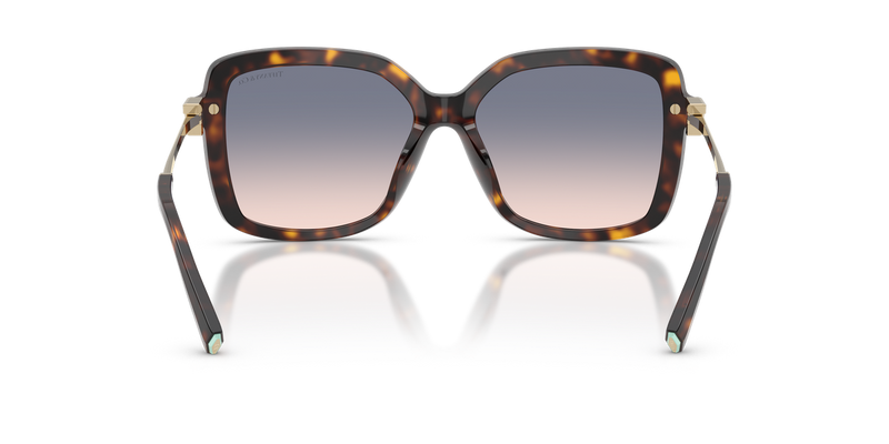 Tiffany TF4252B in Havana / Light Brown Gradient Blue (801516) - Alternate View