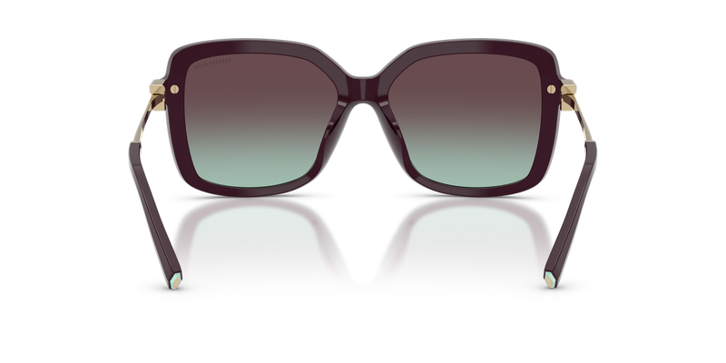 Tiffany TF4252B in Deep Kunzite / Azure/Violet (8427V7) - Alternate View