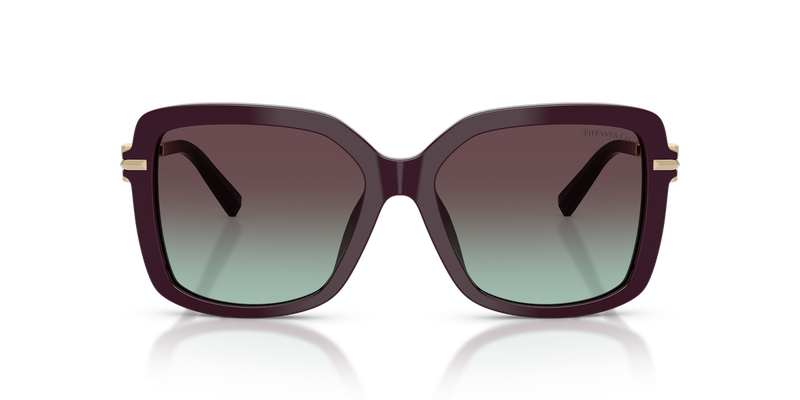 Tiffany TF4252B in Deep Kunzite / Azure/Violet (8427V7) - Alternate View