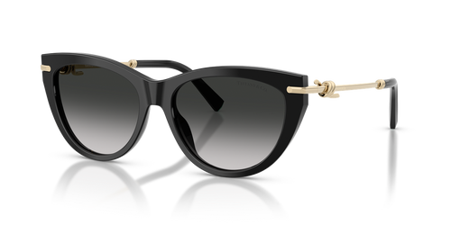 Black / Grey Gradient (80013C)