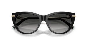 Black / Grey Gradient (80013C)
