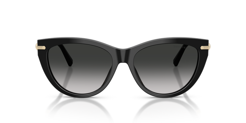 Tiffany TF4253F in Black / Grey Gradient (80013C) - Alternate View