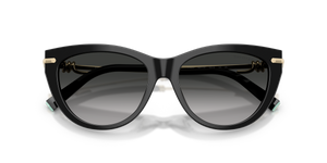 Black / Grey Gradient (80013C)
