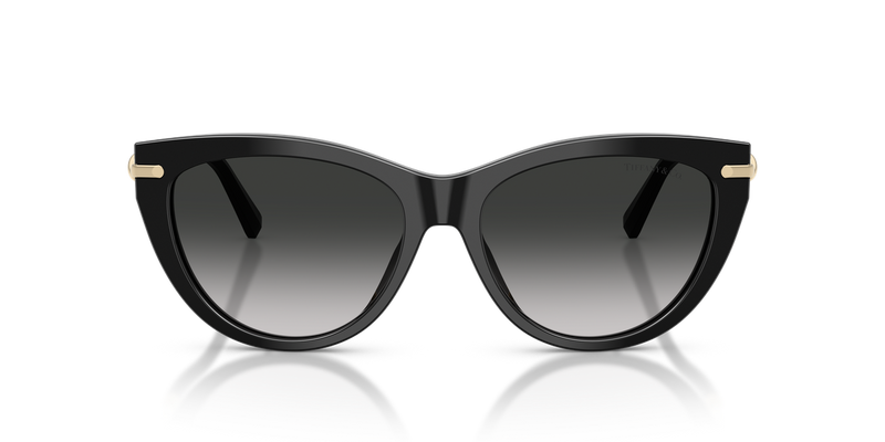 Tiffany TF4253 in Black / Grey Gradient (80013C) - Alternate View