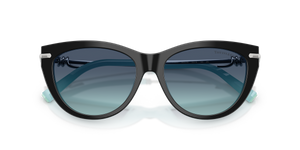 Black On Tiffany Blue / Azure Gradient Blue (80559S)