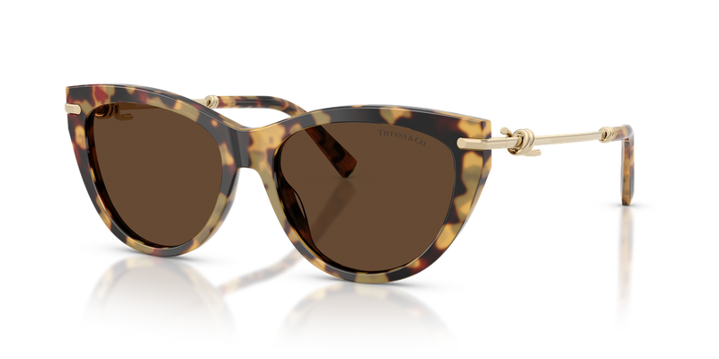 Tiffany TF4253 in Blonde Havana / Light Brown (80643G) - Alternate View