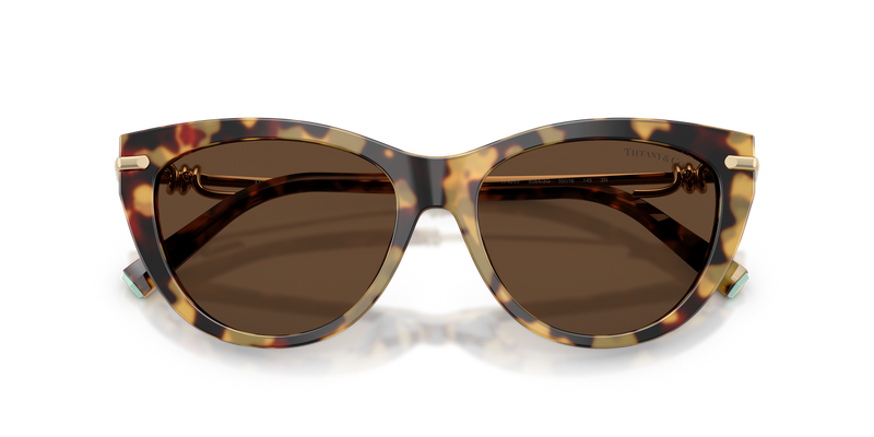 Tiffany TF4253 in Blonde Havana / Light Brown (80643G) - Alternate View