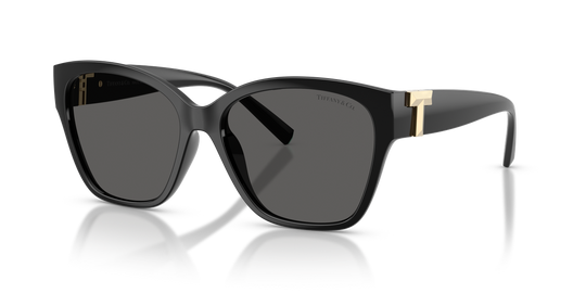 Tiffany TF4254U - Black / Dark Grey (8001S4)