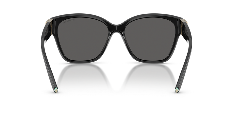 Tiffany TF4254U in Black / Dark Grey (8001S4) - Temple Detail