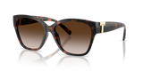 Havana / Brown Gradient (80153B)