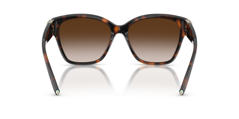 Tiffany TF4254U in Havana / Brown Gradient (80153B) - Alternate View