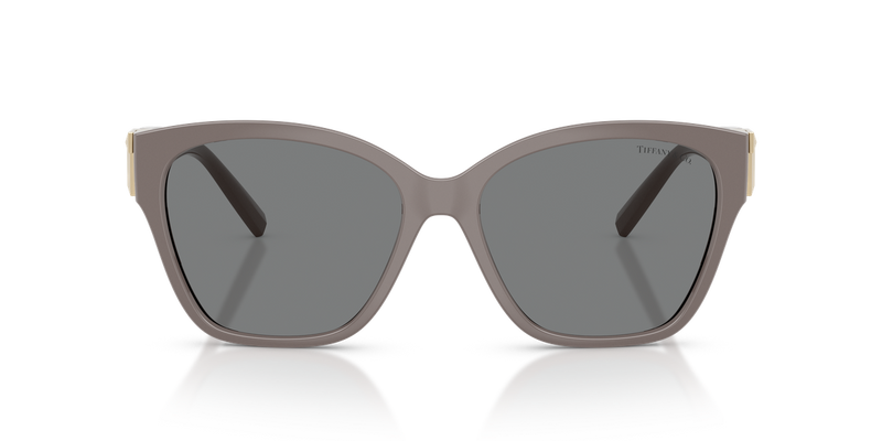 Tiffany TF4254U in Chocolate Truffle / Dark Grey (840187) - Alternate View