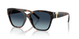 Havana / Azure Gradient Blue Polarized (84554U)