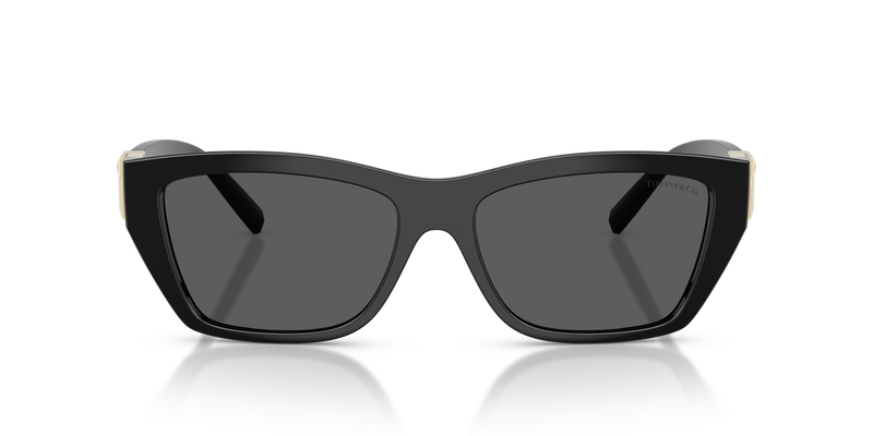 Tiffany TF4255U in Black / Dark Grey (8001S4) - Alternate View