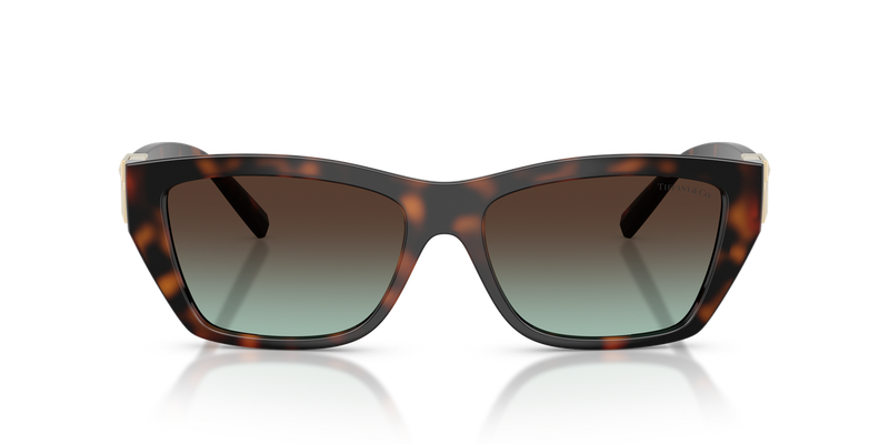 Tiffany TF4255U in Havana / Azure Gradient Brown (80155D) - Alternate View
