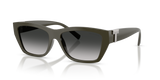 Coca Cola Sapphire / Gray Gradient (84463C)