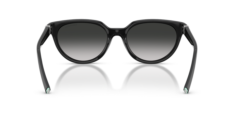Tiffany TF4256D in Black / Grey Gradient (80013C) - Temple Detail