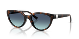 Havana / Azure Gradient Blue (80159S)