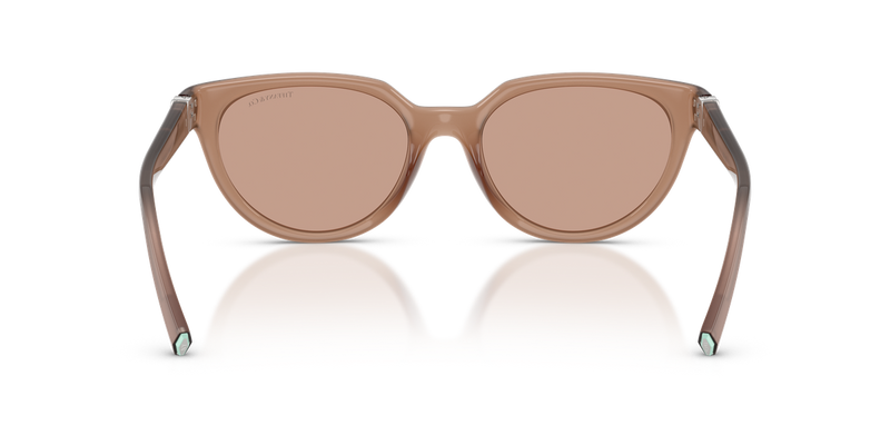 Tiffany TF4256D in Coca Cola Sapphire / Brown (844973) - Alternate View