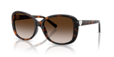 Havana / Brown Gradient (80153B)