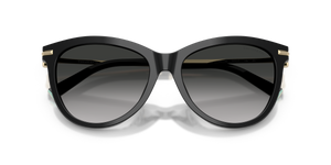 Black / Grey Gradient (80013C)