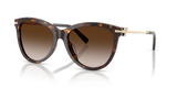 Havana / Brown Gradient (80153B)