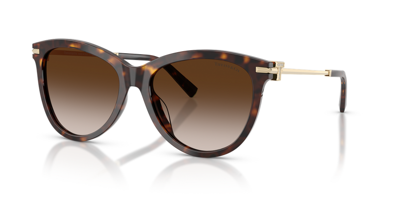 Tiffany TF4258BU in Havana / Brown Gradient (80153B) - Alternate View