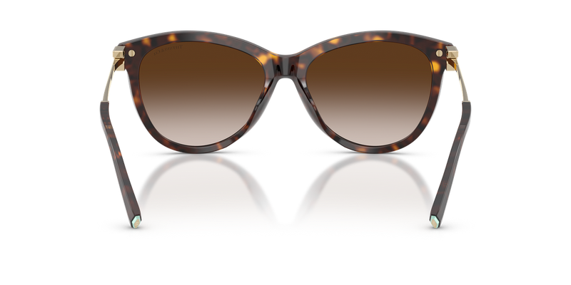 Tiffany TF4258BU in Havana / Brown Gradient (80153B) - Alternate View
