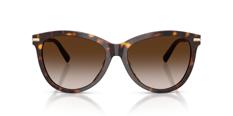 Tiffany TF4258BU in Havana / Brown Gradient (80153B) - Alternate View