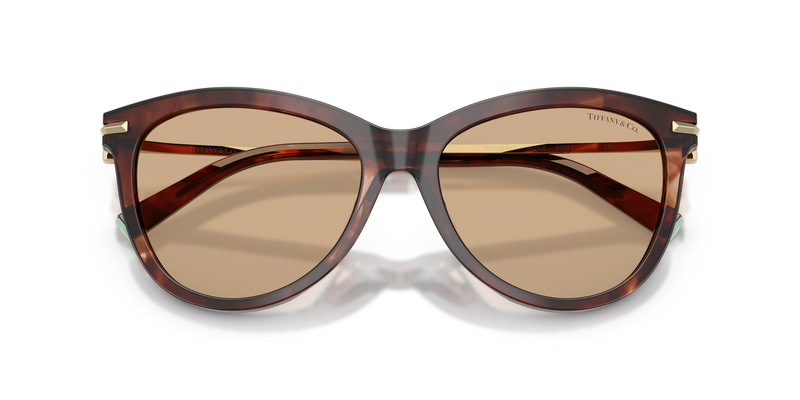Tiffany TF4258BU in Spotted Brown Havana / Light Yellow (8421/8) - Alternate View
