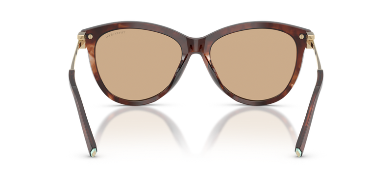 Tiffany TF4258BU in Spotted Brown Havana / Light Yellow (8421/8) - Alternate View