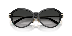 Black / Gray Gradient (80013C)