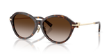 Havana / Brown Gradient (80153B)
