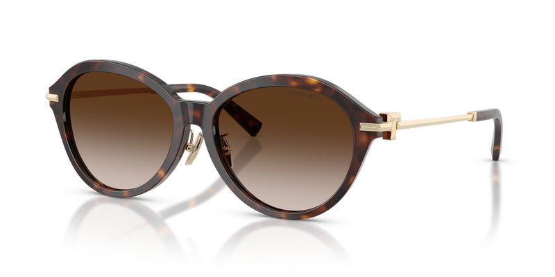 Tiffany TF4259F in Havana / Brown Gradient (80153B) - Alternate View
