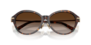 Havana / Brown Gradient (80153B)