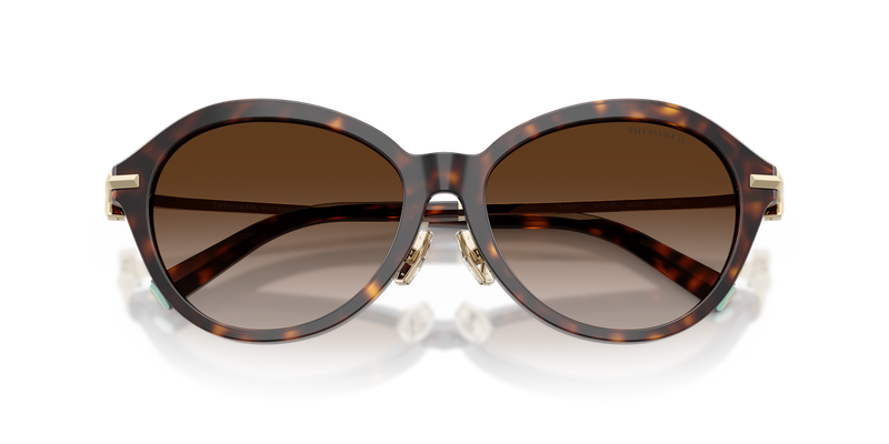 Tiffany TF4259F in Havana / Brown Gradient (80153B) - Alternate View