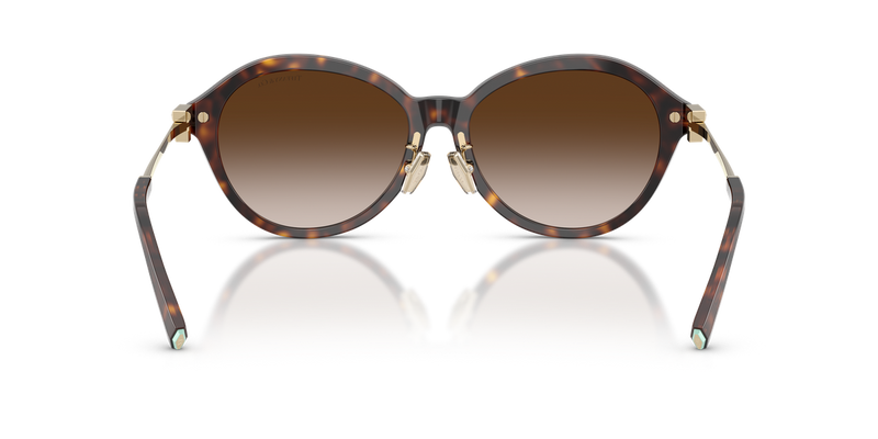 Tiffany TF4259F in Havana / Brown Gradient (80153B) - Alternate View