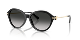 Black / Gray Gradient (80013C)