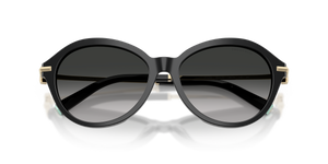 Black / Gray Gradient (80013C)