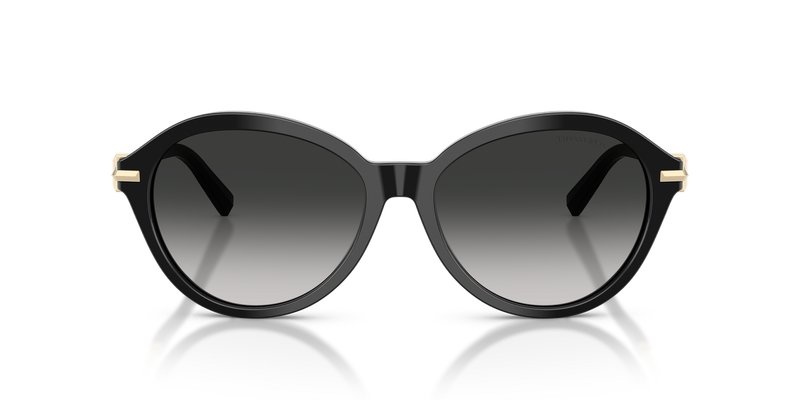Tiffany TF4259 in Black / Gray Gradient (80013C) - Alternate View