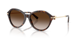 Havana / Brown Gradient (80153B)