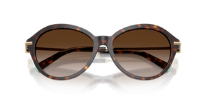 Havana / Brown Gradient (80153B)