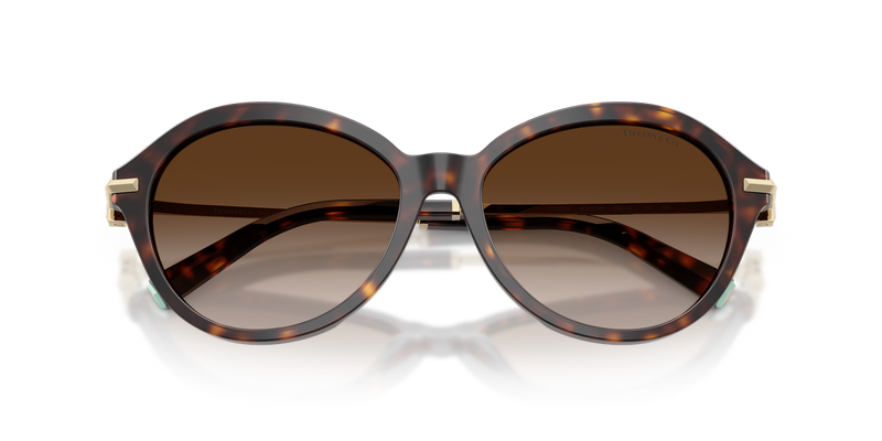 Tiffany TF4259 in Havana / Brown Gradient (80153B) - Alternate View