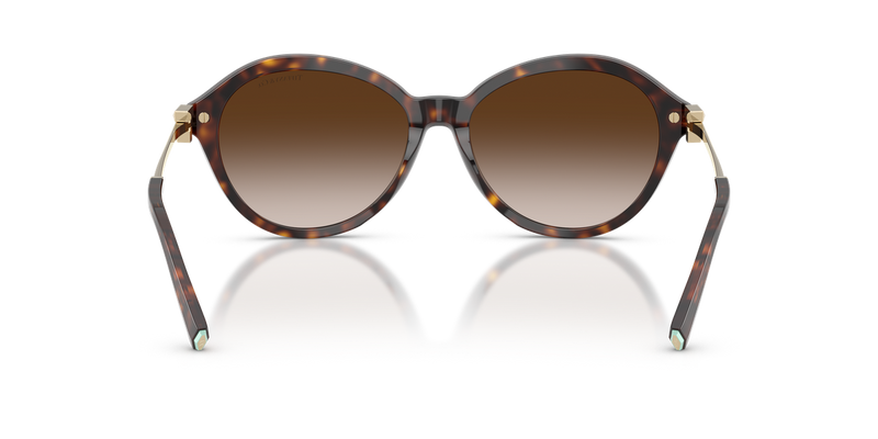 Tiffany TF4259 in Havana / Brown Gradient (80153B) - Alternate View