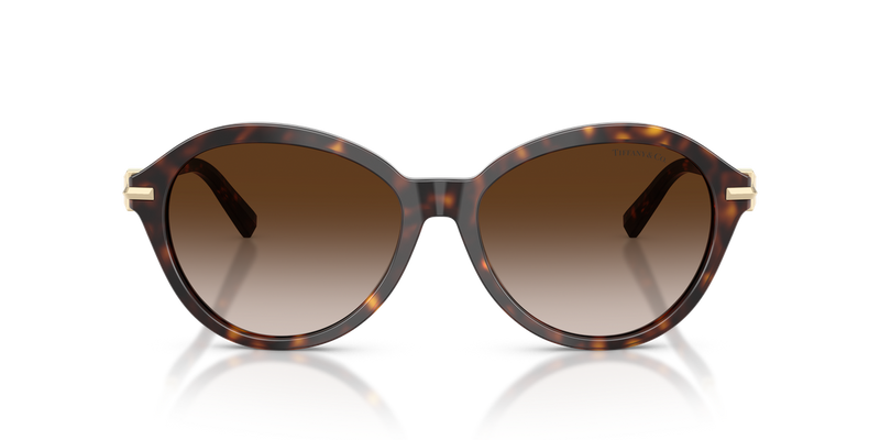 Tiffany TF4259 in Havana / Brown Gradient (80153B) - Alternate View