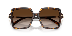 Havana / Brown Gradient (80153B)