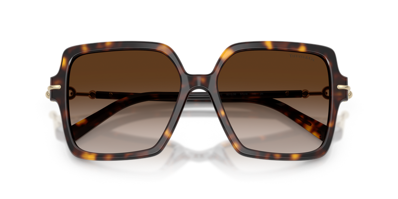 Tiffany TF4260U in Havana / Brown Gradient (80153B) - Alternate View