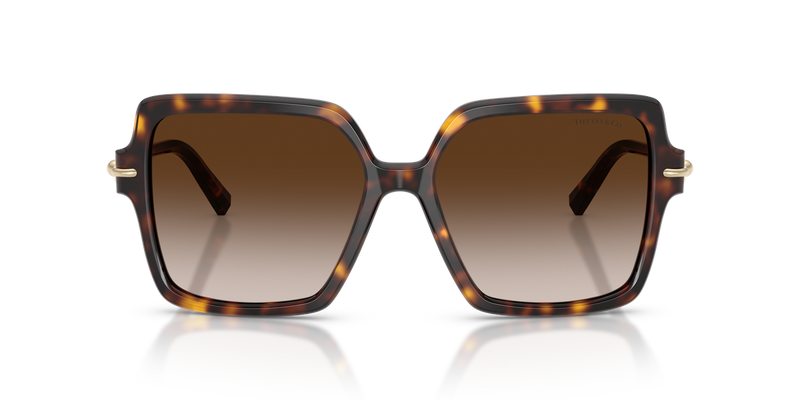 Tiffany TF4260U in Havana / Brown Gradient (80153B) - Alternate View